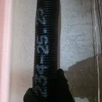 After - Two Torsion Spring Replacement and Garage Door Maintenance