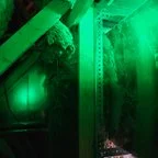 After - Full-View Glass Commercial Overhead Door Installation for Restaurant